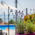 Villa Leta - Luxury In A Oasis With Heated Swimming Pool, Fitness Center And Summer Kitchen - Kvarner