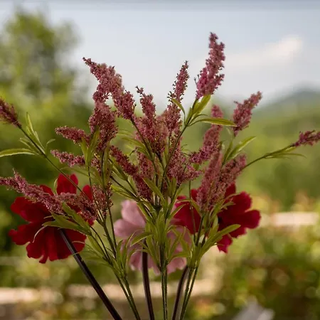 Leta - Luxury In A Oasis With Heated Swimming Pool, Fitness Center And Summer Kitchen - Kvarner Hreljin
