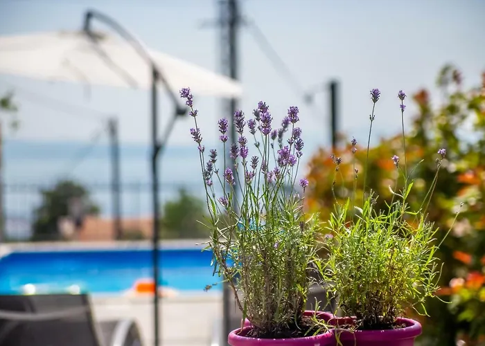 Villa Leta - Luxury In A Oasis With Heated Swimming Pool, Fitness Center And Summer Kitchen - Kvarner