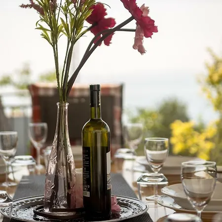 Leta - Luxury In A Oasis With Heated Swimming Pool, Fitness Center And Summer Kitchen - Kvarner Hreljin
