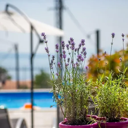 빌라 Leta - Luxury In A Oasis With Heated Swimming Pool, Fitness Center And Summer Kitchen - Kvarner