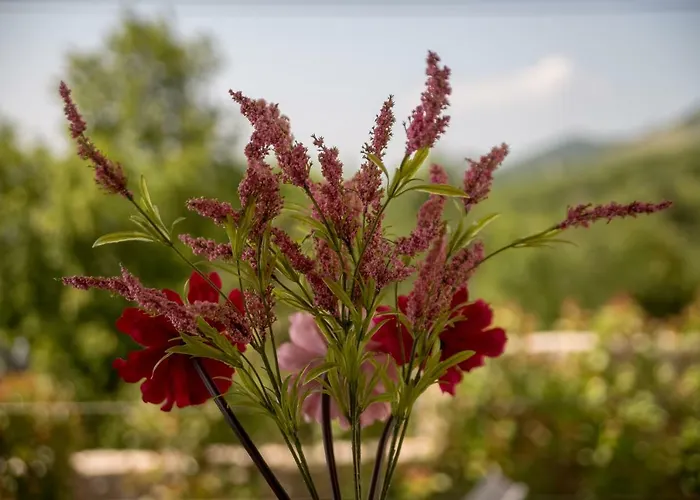 Leta - Luxury In A Oasis With Heated Swimming Pool, Fitness Center And Summer Kitchen - Kvarner Hreljin